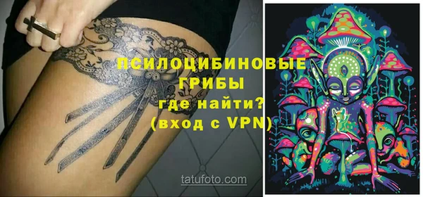 ешки Осинники