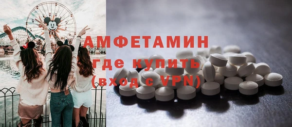 мет Няндома