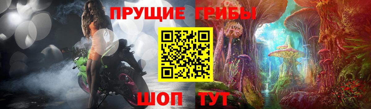 Галлюциногенные грибы Magic Shrooms  Псилоцибиновые грибы мицелий  Аша 